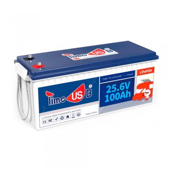  Акумуляторна батарея LiFePO4 Timeusb 24V 100Ah, 2560Wh, BMS 100A, 532*207*216мм (Timeusb-24V100Ah)+ подарунок  Безкоштовна доставка   