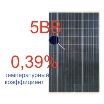 Сонячна батарея Risen 275 Вт 24 В, полікристалічна (Grade A RSM60-6-275P/5BB) 