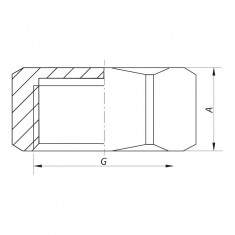  Заглушка Koer KF.P10F.WN - 1'' В (без нікеля) (KR3100) 