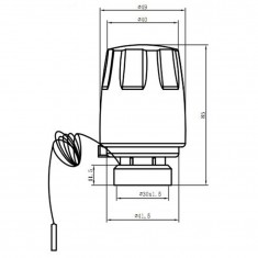  Термостатична головка з виносним датчиком  М30*1,5 20-60 °C SFE010 SD Forte 